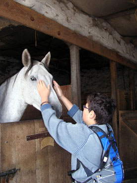 R. et le cheval